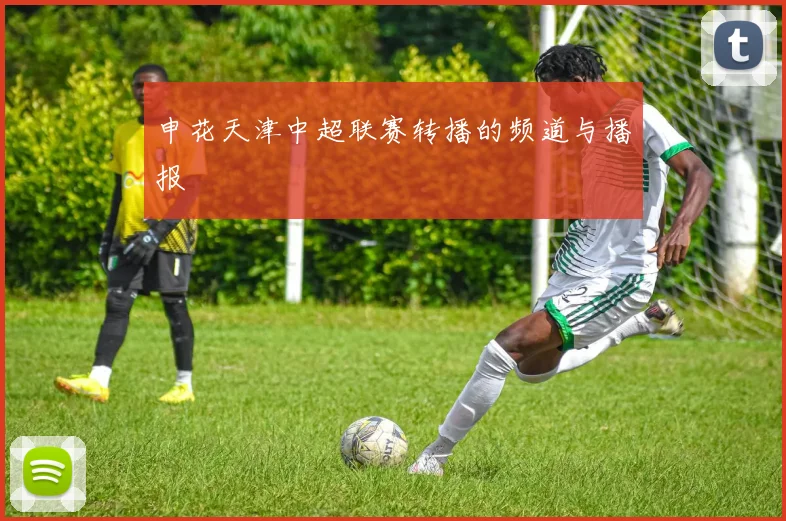 申花天津中超联赛转播的频道与播报