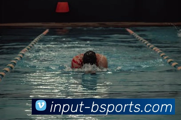 B体育平台生态图